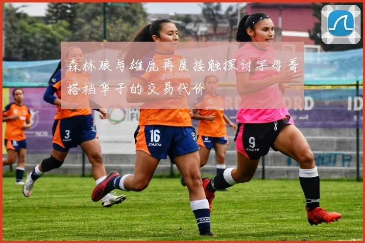 森林狼与雄鹿再度接触探讨字母哥搭档华子的交易代价